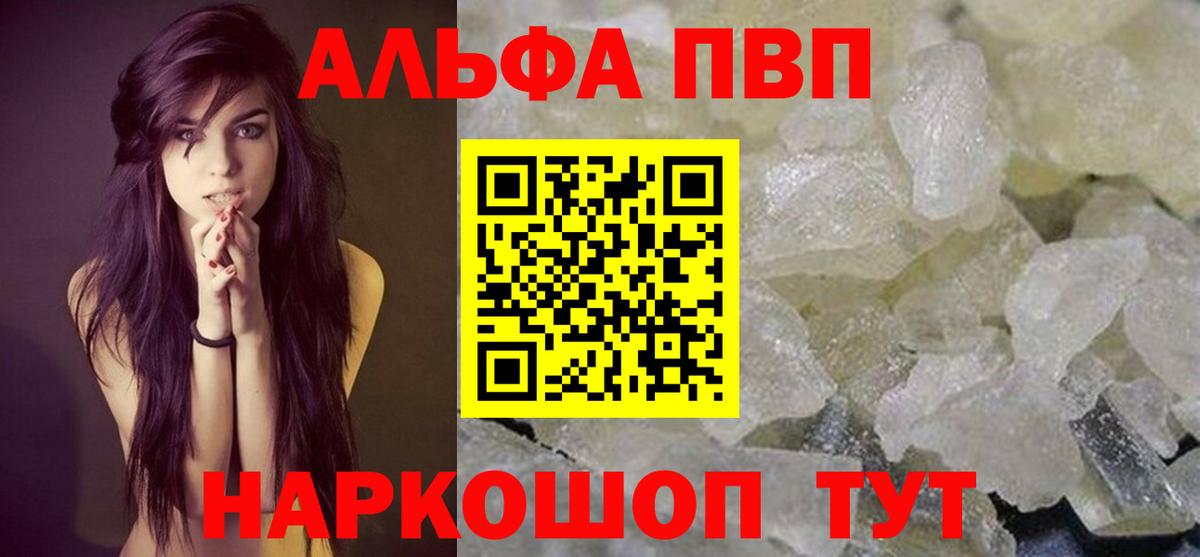 A PVP СК КРИС Будённовск