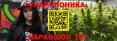 синтетический гашиш Лесосибирск